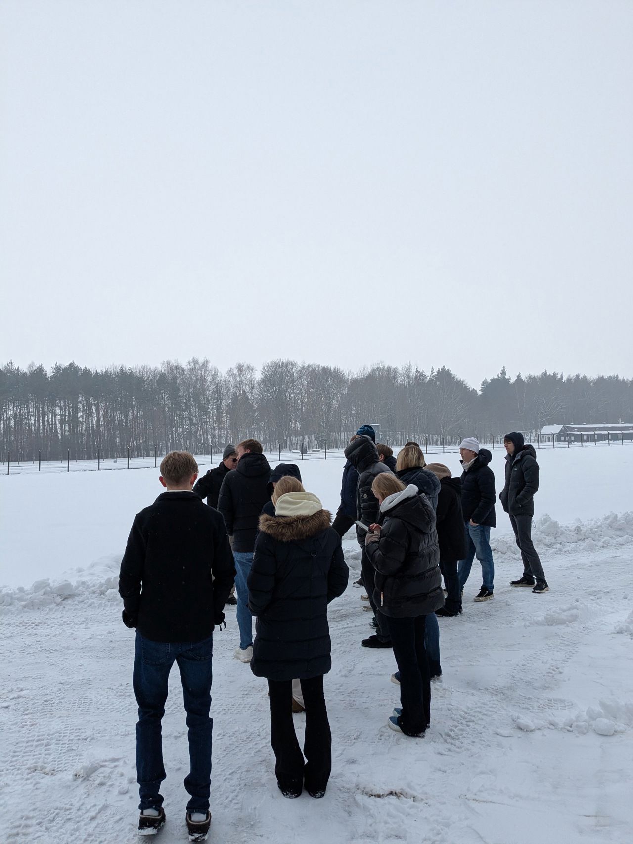 Elevane ute i snøen
